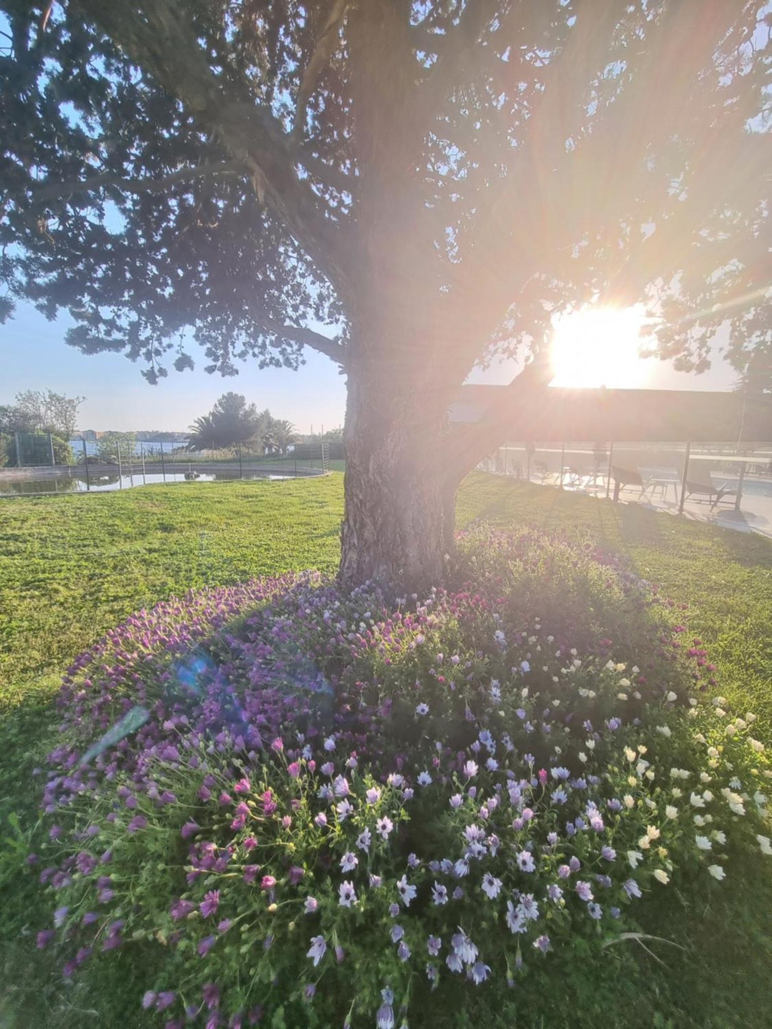 Ariane Hotel Fos Sur Mer Fos-sur-Mer Zewnętrze zdjęcie